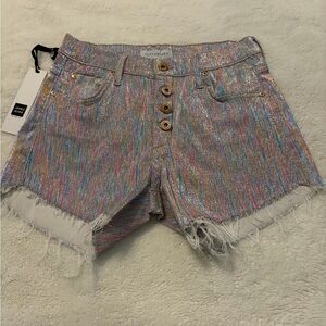 James Jeans Multicolor Metallic Stripe Frayed Hem Shorts